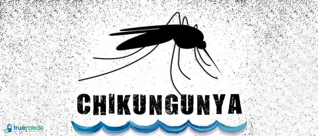 Chikungunya Virus- What do you need to know?