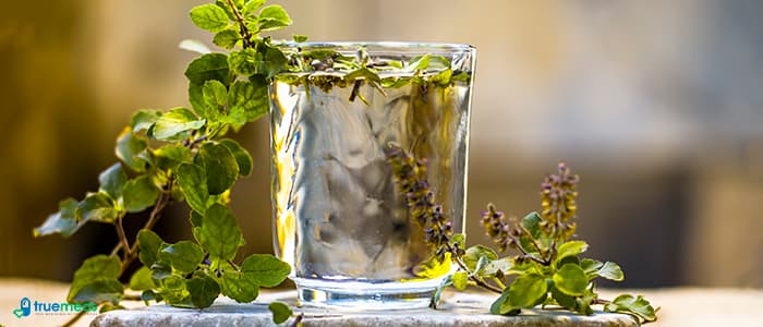 Tulsi Plant and Leaves: Benefits, Uses, Types and Medicinal Properties