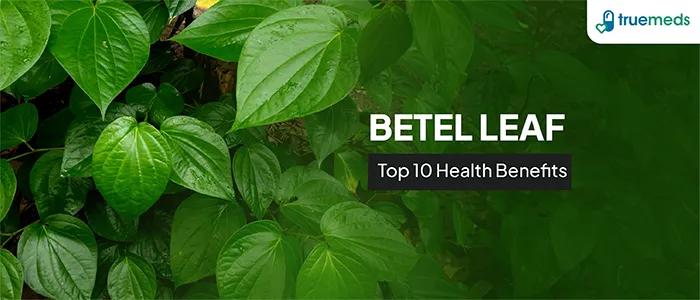 Discover the Top 10 Surprising Health Benefits of Betel Leaf (Paan Leaf)