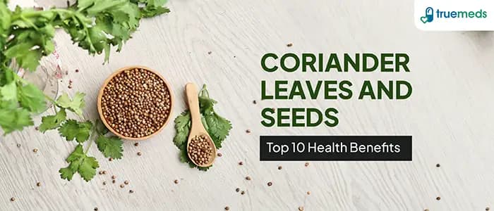 Top 10 Benefits of Coriander Seeds &amp; Leaves You Should Know