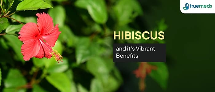 Hibiscus: Uses, Benefits, Side Effects and More!